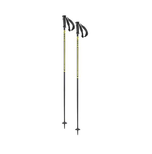 Salomon X-08 Ski poles