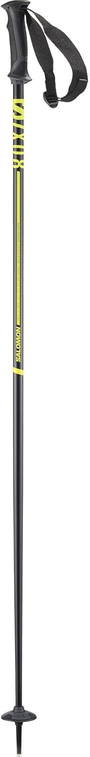 Salomon X-08 Ski poles