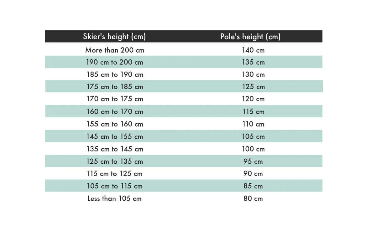 Salomon X-08 Ski poles